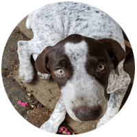 Fräulein Zella Zilberfarb