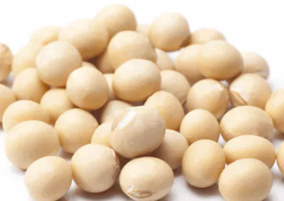 Maryland Soybean Board