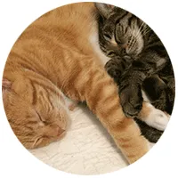 Squiggles and Millie Brewster